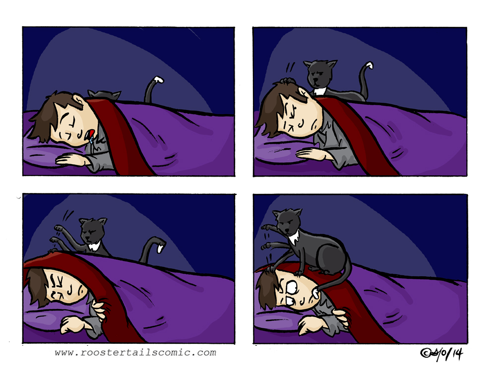 This comic is lies - in real life I have at least three pillows.